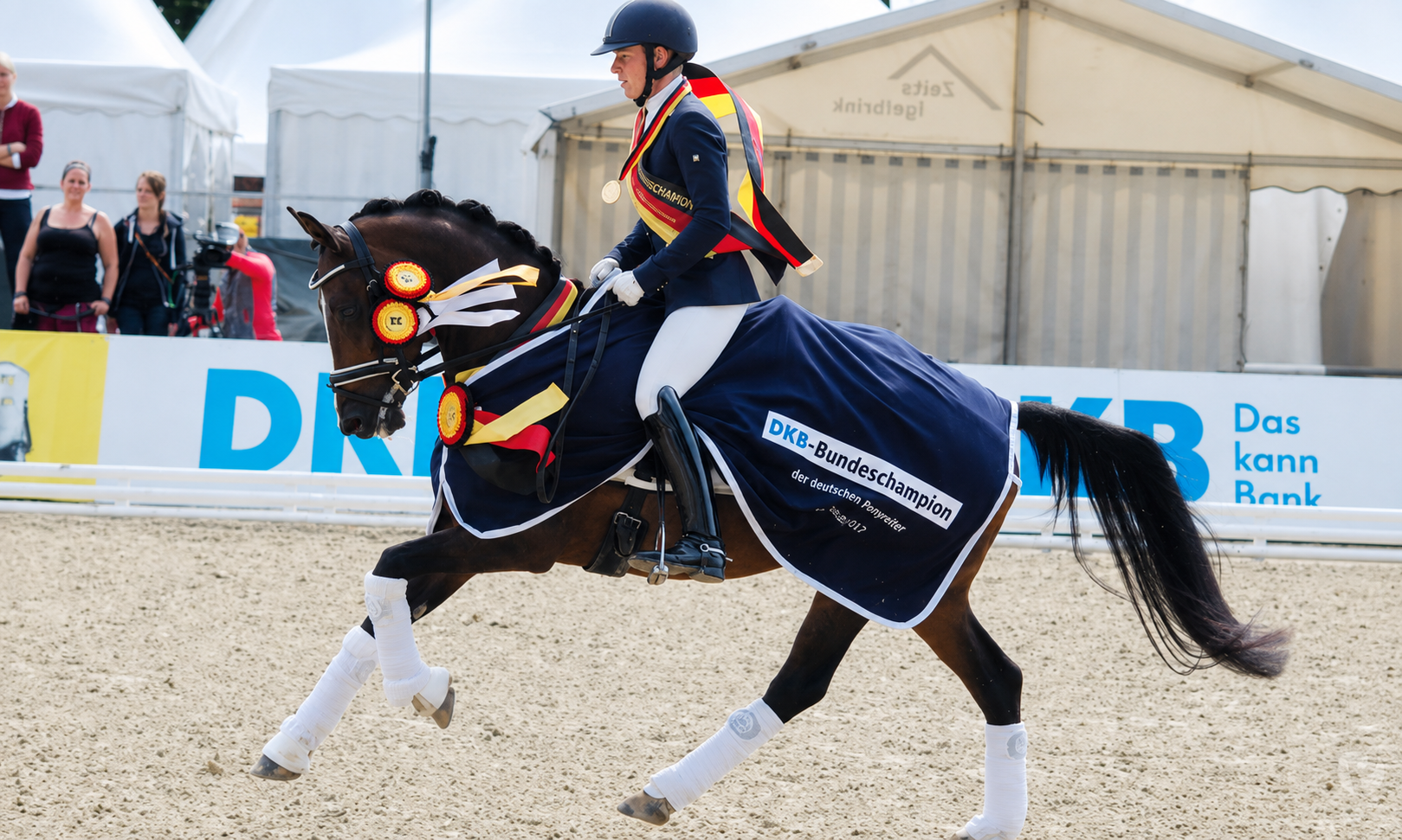 Dancing Daylight Bundeschampioness 2017