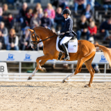 coppery-galopp